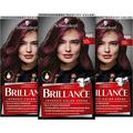 Brilliance Intensiv-Color-Creme 860 Ultraviolett Stufe 3 (3 x 160 ml), dauerhafte Haarfarbe mit Diamant-Glanz-Effekt & Pflege-Conditioner, 10 Wochen Farbintensität