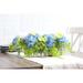 DarbyCreekTrading Blue Hydrangea, White Diana Rose, Green Ranunculus, Mixed Fern Spring Floral Centerpiece Arrangement In Oval Vase | Wayfair