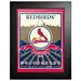 St. Louis Cardinals 11-Time World Series Champions 12'' x 16'' Collection Framed Photo