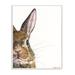 Gracie Oaks Farm Rabbit Gaze Adorable Whiskered Animal by George Dyachenko - Painting on Canvas in White | 15 H x 10 W x 0.5 D in | Wayfair