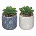 George Oliver 2 - Piece Artificial Succulent in Planter Set Ceramic | 4.25 H x 4.25 W x 6 D in | Wayfair 2D023AC81C5A4ED2AD7377EFC1891BA5