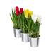 August Grove® Tulips Floral Arrangements in Pot Plastic in Red | 9.5 H x 4 W x 4 D in | Wayfair C45CB2F5FEC0467B85A25536D702FF4A