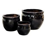 Breakwater Bay Arnoldo Ceramic/Glaze Pot Planter in Black | 6.5 H x 7.75 W x 7.75 D in | Wayfair 656D7A28DE4C4D1BA87072AB1690D9FB