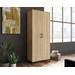 2-Door Storage Cabinet in Charter Oak - Sauder 427281