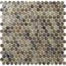 Tile Club 0.8" x 0.8" Glass Penny Round Mosaic Wall & Floor Tile Glass in Brown | 0.8 H x 0.8 W x 0.25 D in | Wayfair WFAPN8802A