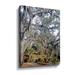 Winston Porter Spanish Moss, City Park by Linda Parker - Photograph Print on Canvas Canvas, Wood in White | 48 H x 36 W x 2 D in | Wayfair