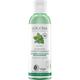 Logona - Purify Klärendes Bio-Minze & Salicylsäure aus der Weidenrinde Gesichtswasser 125 ml