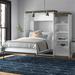 Brayden Studio® Ailed Queen Murphy Bed & Shelving Unit w/ Drawers, Wood in White | 89.7 H x 94.1 W x 20.2 D in | Wayfair