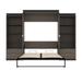 Brayden Studio® Ailed Queen Storage Murphy Bed Wood in Brown | 89.7 H x 123.6 W x 20.2 D in | Wayfair DCDD9C1E7BC642529FC8BA9B5436A97C