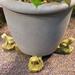 Nichols Bros. Stoneworks Frog Planter Feet Stone in Gray | 2.5 H x 2.25 W x 3.75 D in | Wayfair GNFRPT-WB