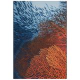 Liora Manne Marina Coral Indoor/Outdoor Rug by Trans-Ocean Import in Ocean (Size 4'10"X 7'6")