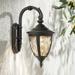 Bellagio 13 1/2" High Bronze Downbridge LED Outdoor Wall Light