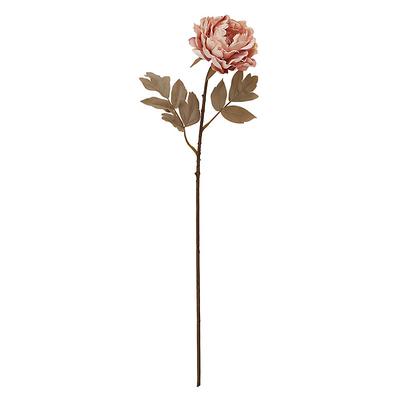 Peony Stem - Blush - Ballard Designs