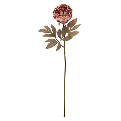 Peony Stem - Pink - Ballard Designs