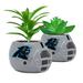 Carolina Panthers 2-Piece Ceramic Helmet with Faux Succulent Set