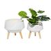 Juniper + Ivory Set of 2 10 In., 12 In. Contemporary Planter White MgO - Juniper + Ivory 46529