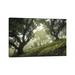East Urban Home Enchanted Forest by Frans Van Der - Gallery-Wrapped Canvas Giclée Canvas in Black/Gray/Green | 8 H x 12 W x 0.75 D in | Wayfair