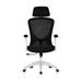 The Twillery Co.® Arjun Ergonomic Mesh Task Chair Upholstered/Mesh in Black | 46.06 H x 24.8 W x 24.61 D in | Wayfair