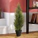 Steelside™ Artificial Mini Cedar Pine Foliage Tree in Pot Silk/Plastic | 24 H x 13 W x 11 D in | Wayfair 55F5E996C19E48AF9D467B62C075B469