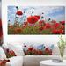 Charlton Home® Bright Red Poppy Flowers Photo - Wrapped Canvas Photograph Print Metal in Blue/Green/Red | 30 H x 40 W x 1 D in | Wayfair
