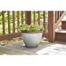 Southern Patio® Westlake Resin Pot Planter Resin/Plastic in Gray | 7.4" H x 10" W x 10" D | Wayfair HDR-064787