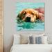 Art Remedy Animals Cool Swim Buddy Labrador Dogs & Puppies - Graphic Art Print Metal in Blue/Brown | 40 H x 40 W x 1.5 D in | Wayfair