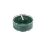 12Pk Fresh Frasier Fir Green Tealight Candles- Jeco Wholesale CVZ-12PFFF