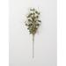 Primrue 28" Artificial Eucalyptus Branch Plastic | 28 H x 9 W x 9 D in | Wayfair 18016F83B20F4095BE29EAECA5765AD5