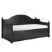 Birch Lane™ Delaria Twin Daybed w/ Trundle Wood in Black | 43 H x 42.12 W x 80.7 D in | Wayfair 4B38AE3B50A948EFA1F036F2D9352D57