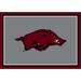 Imperial Arkansas Razorbacks 5'4'' x 7'8'' Spirit Rug