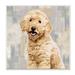 Stupell Industries Smiling Labradoodle Dog Patchwork Gray Beige Pattern by Keri Rodgers - Graphic Art Print | 12 H x 12 W x 0.5 D in | Wayfair