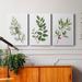 Red Barrel Studio® Winter Botanical I - 3 Piece Wrapped Canvas Print Set Canvas, Solid Wood in White | 36 H x 72 W x 1 D in | Wayfair