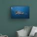 Highland Dunes Whale Shark by Barathieu Gabriel - Wrapped Canvas Photograph Print Canvas in Black/Blue/Gray | 16 H x 24 W x 2 D in | Wayfair