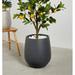 Ebern Designs Fion Pot Planter Natural Fibers/Composite/Fiberglass/Resin/Plastic in Black | 16.75" H x 12.75" W x 12.75" D | Wayfair