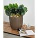 Ebern Designs Finsted Plastic Pot Planter Natural Fibers/Composite/Fiberglass/Resin/Plastic in Brown | 11 H x 11 W x 11 D in | Wayfair