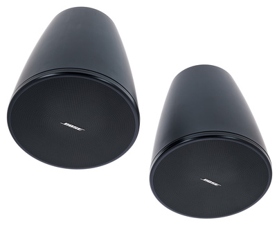 Bose Professional DesignMax DM5P black