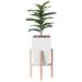 Green Indoor Decorative Square Planter With Wooden Stand