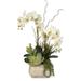 Real Touch Cream Green Phalaenopsis Silk Orchid Arrangement
