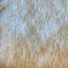 Dynasty Natural 2-Pelt Luxury Long Wool Sheepskin Shag Rug