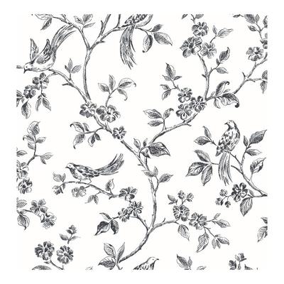 Advantage Ray Black Bird Trail Wallpaper - 20.5 x 396 x 0.025