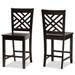 Caron Modern and Contemporary Transitional 2-Piece Counter Stool Set
