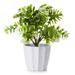 Enova Home Artificial Greenery Fake Plants in White Pot for Home Office Decoration