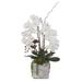 Real Touch White Orchid with Succulent Arrangement in Square Stone Pot - 15W x 12D x 21H