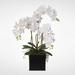 Real Touch Phalaenopsis Silk Orchids in a Metal Planter - White