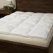 233 Thread Count Cotton Fiber Bed by Grandeur Collection