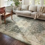 Alexander Home Juliet Vintage Ultra-Plush Medallion Area Rug