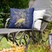 American Crow Indoor/Outdoor Pillow