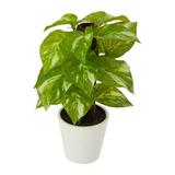 9" Pothos Artificial Plant in White Planter (Real Touch) - 3"
