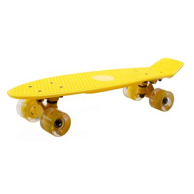 22 Inch Highly Flexible Cruiser Skateboard with LE...