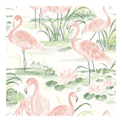 Chesapeake Everglades Coral Flamingos Wallpaper - 20.5 x 396 x 0.025